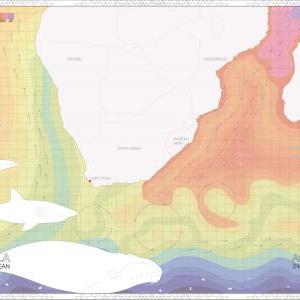 South African Oceanic Currents